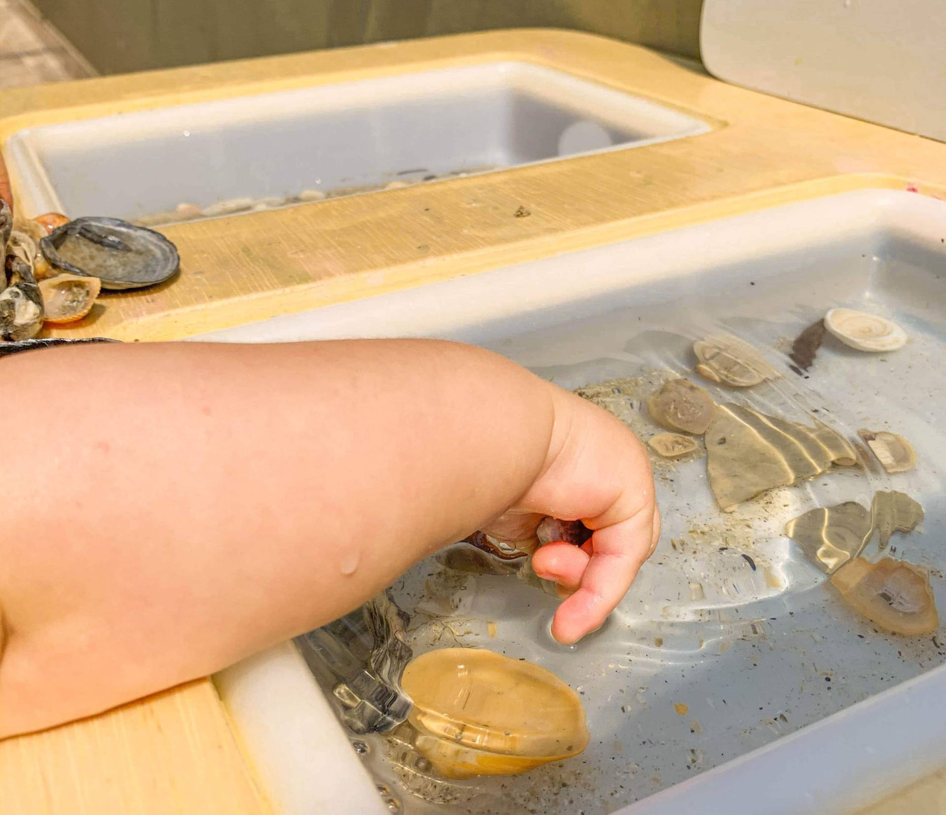 Brincadeira com Agua Assinatura de Brinquedos Educacionais Just Real Moms