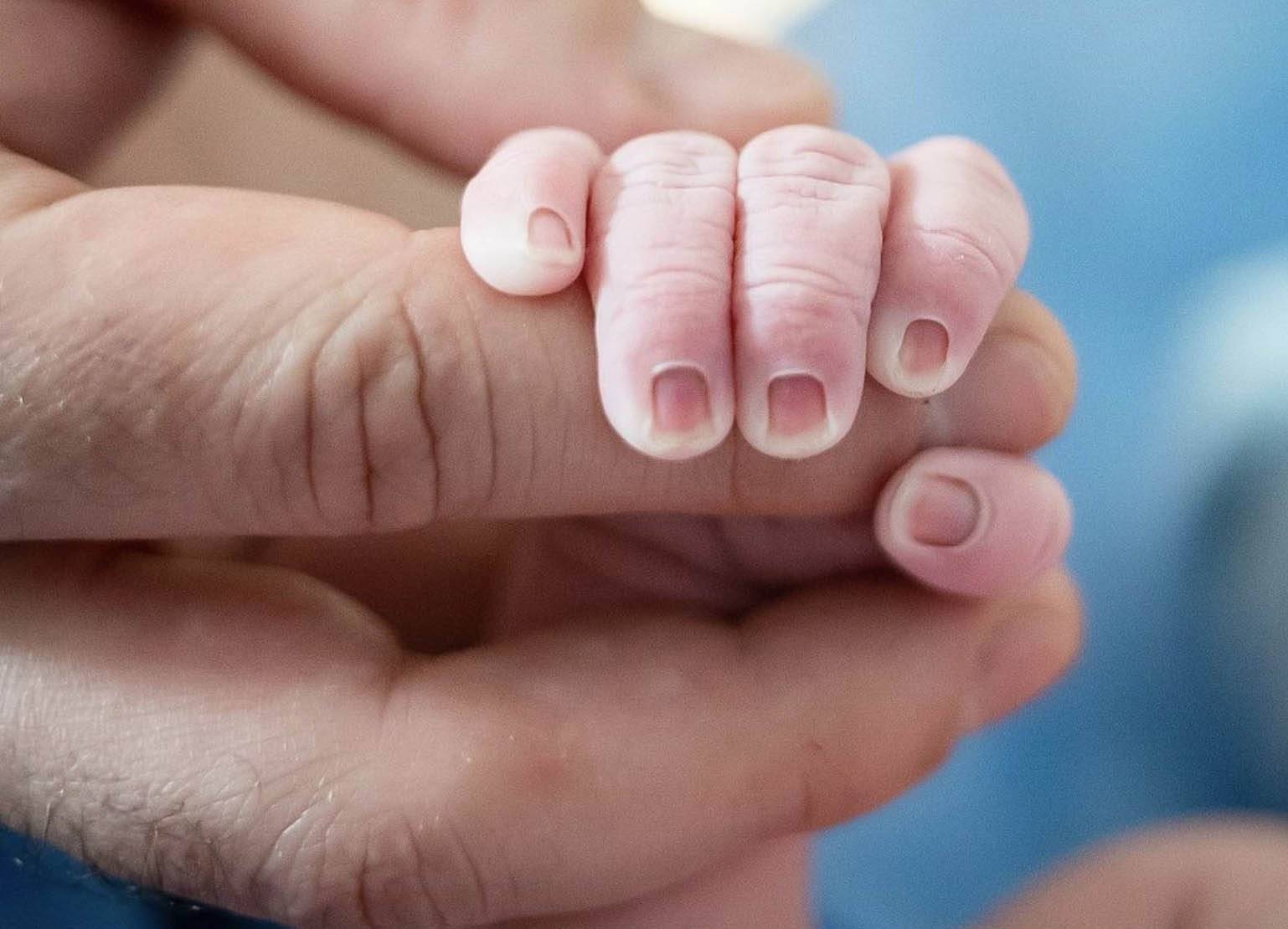 Pai e Bebe Fotografa Parto Guia de Fornecedores Just Real Moms